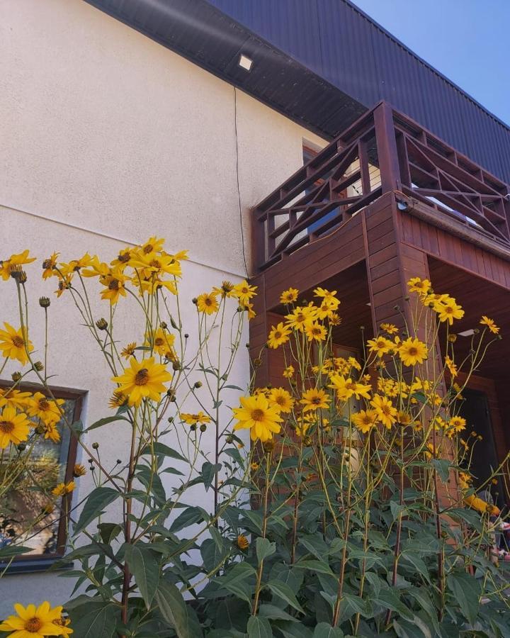 Naryn Guest House Tenir Too מראה חיצוני תמונה